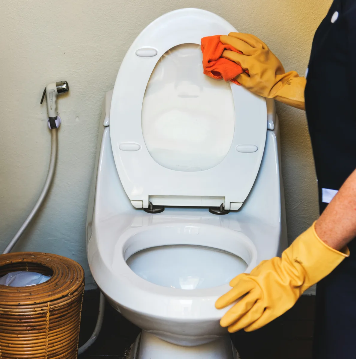 Person wiping a toilet seat with a cloth and protective gloves